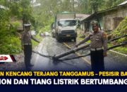 Angin Kencang Terjang Tanggamus – Pesisir Barat, Pohon Dan Tiang Listrik Bertumbangan