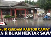 Banjir Rendam Kantor Camat Dan Ribuan Hektar Sawah