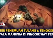 Geger Penemuan Tulang & Tengk0r4k Kepala Manusia Di Pinggir Way Penet