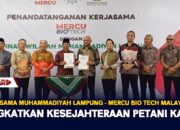 Kerjasama Muhammadiyah Lampung – Mercu Bio Tech Malaysia : Tingkatkan Kesejahteraan Petani Karet