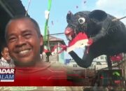 Ada Gapura Tikus Makan Bendera Merah Putih