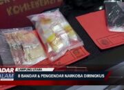 Polres Lampura Ringkus 8 Bandar & Pengendar Narkoba