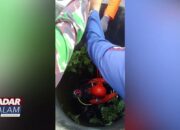 Pria Paruh Baya Wafat Usai Kecemplung Sumur