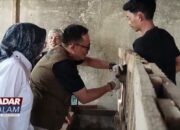 Tim Pantau Lapak Kurban Pastikan Kondisi Hewan Sehat