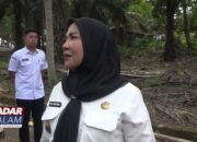 BANDAR LAMPUNG : Program Perbaikan Jalan Rusak Pemkot Percepat Perbaikan Jalan Rusak