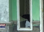 LAMPUNG : Polda Selidiki Kasus Pembakaran Rumah Tersangka Pembunuhan Karyawan Koperasi