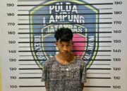 Melawan Petugas, Pelaku Penembakan Bripka Anumerta Arya Supena ‘Pindah Alam’ di Teluk Hantu