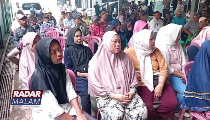 Koperasi TKBM Pelabuhan Panjang Bagikan Daging Sapi Untuk 1 069 Anggota & Kaum Duafa