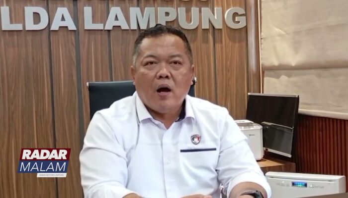 Berkas Kasus Pembalakan Liar Pesisir Barat P 21, Tersangka Dilimpahkan Ke Kejaksaan