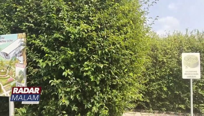Kebun Raya Itera, Pusat Konservasi Dan Riset Lingkungan Di Lampung
