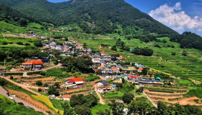 Desa Namchang di Korea Selatan Mendadak Ramai Berkat Lokasi Syuting Film Hope