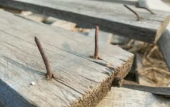 Tertusuk Paku? Berikut Langkah Pertolongan Pertama untuk Mencegah Tetanus