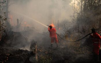 Karhutla Kalimantan Belum Padam, Pernyataan Lima Gubernur Jadi Sorotan Publik
