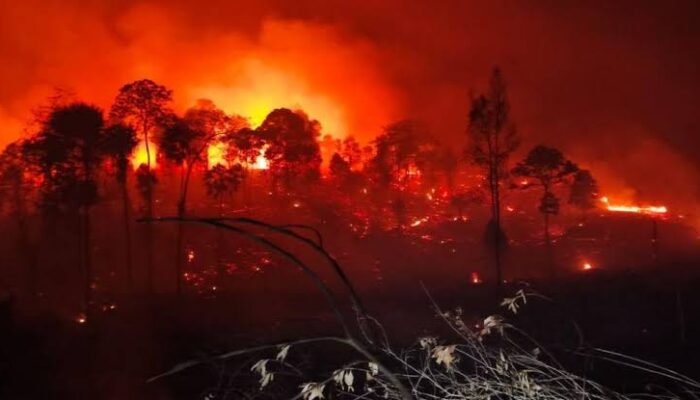 DPR Minta Aparat Usut Dugaan Suap Izin Konsesi Lahan Terkait Karhutla