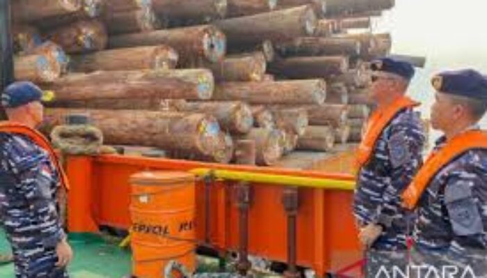 Diduga Langgar Kawasan Konservasi, TNI AL Tangkap Dua Kapal Pengangkut Ribuan Kayu di Maluku