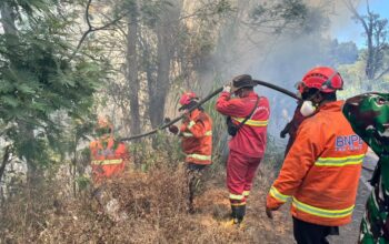 Gugur Saat Padamkan Karhutla Bromo, Empat Petugas dan Relawan Terjebak Kobaran Api