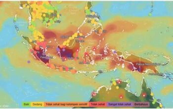 MUI Desak Pemerintah Tuntaskan Karhutla, Serukan Taubat Nasuha