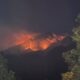 36 Titik Api Kepung Lereng Gunung Lawu, Helikopter Terhalang Asap Pekat