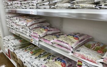 Sempat Loncat Tinggi, Harga Beras di Jepang Kini Turun di Bawah Rp 342 Ribu per 5 Kg