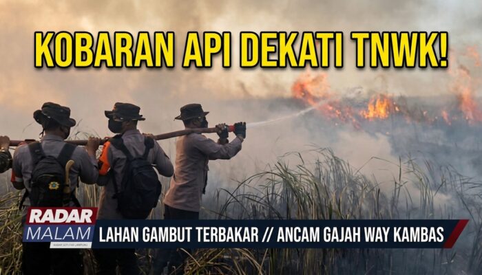 Karhutla Ancam Keselamatan Gajah Way Kambas
