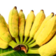 Pisang Jadi Buah Terbanyak di Pesawaran, Ternyata Bisa Diolah Jadi Camilan hingga Menu Sehat